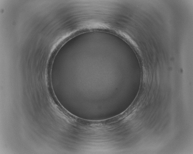 X0000071770391200607282218