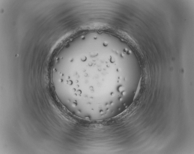 X0000071770392200607282218