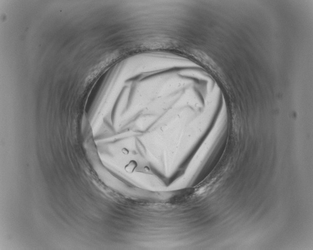 X0000071770393200607282218