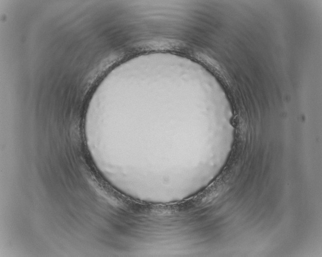 X0000071770394200607282218