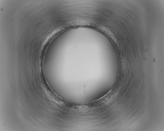 X0000071770395200607282218