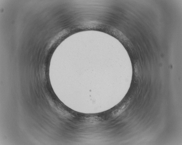 X0000071770396200607282218