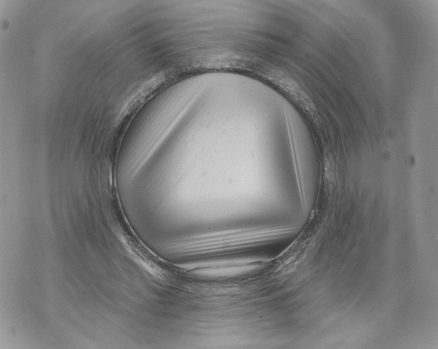 X0000071770397200607282218