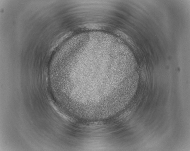 X0000071770398200607282218