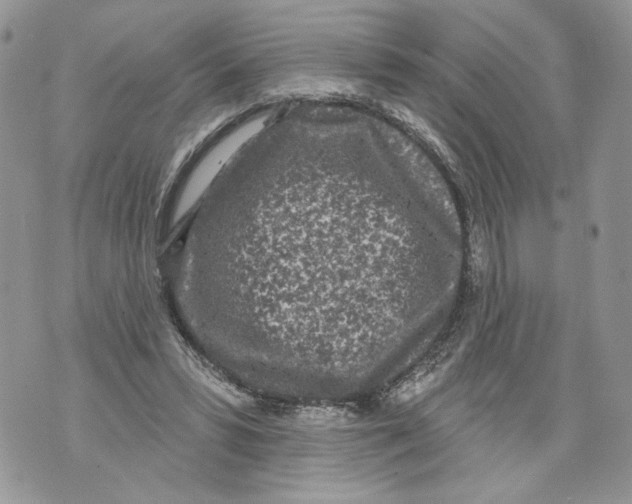 X0000071770399200607282218