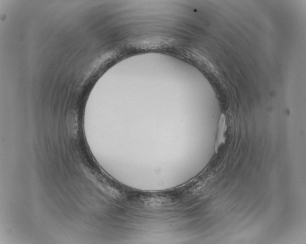 X0000071770400200607282218