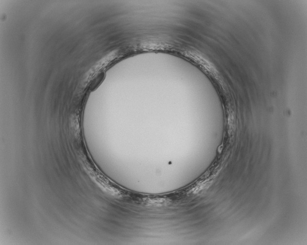 X0000071770401200607282218