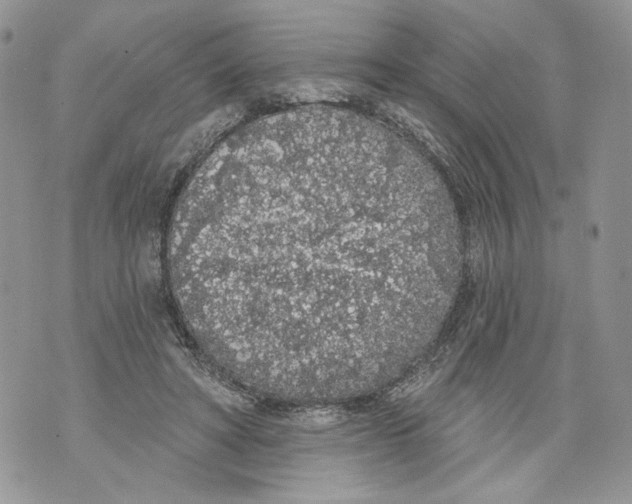 X0000071770402200607282218