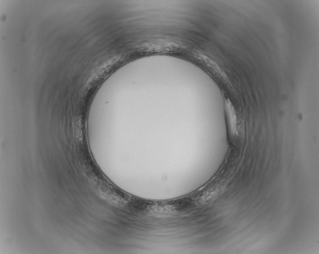 X0000071770403200607282218