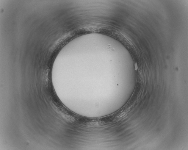 X0000071770404200607282218