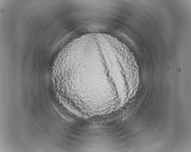 X0000071770405200607282218