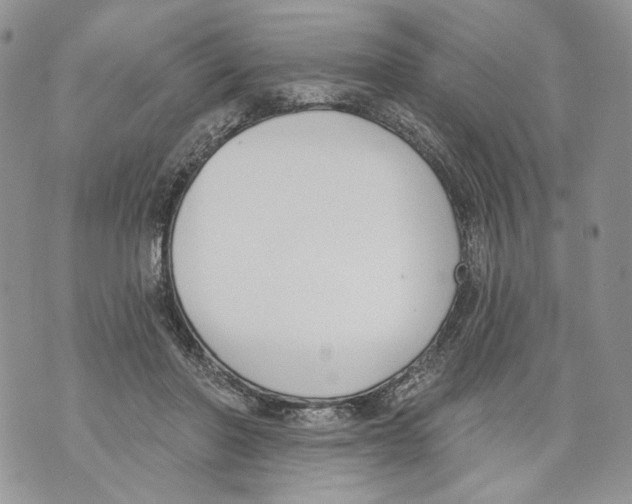 X0000071770406200607282218