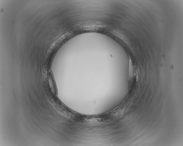 X0000071770407200607282218