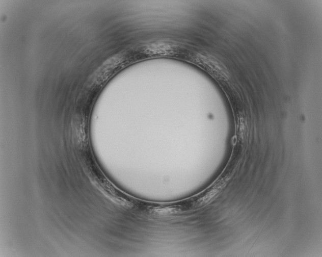 X0000071770408200607282218