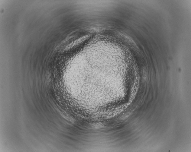 X0000071770409200607282218