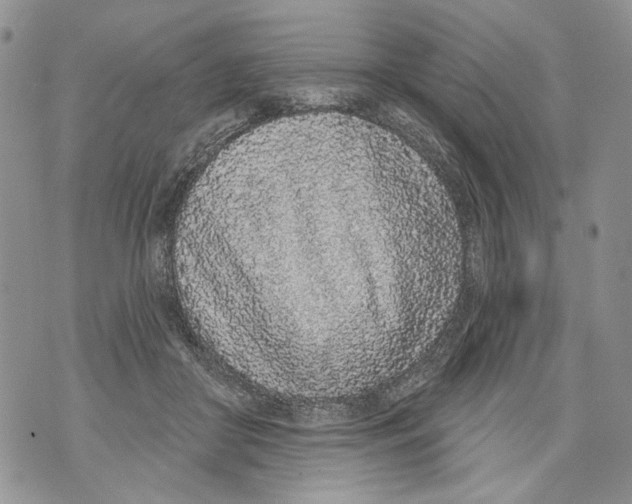 X0000071770410200607282218