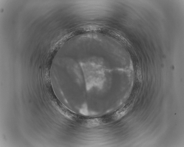 X0000071770411200607282218