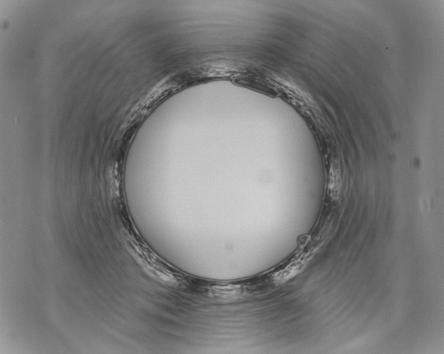 X0000071770413200607282218