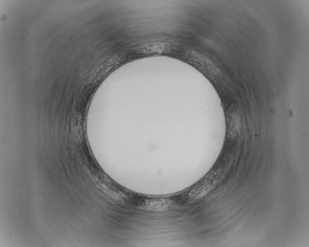 X0000071770414200607282218