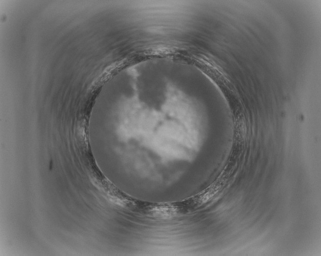 X0000071770415200607282218