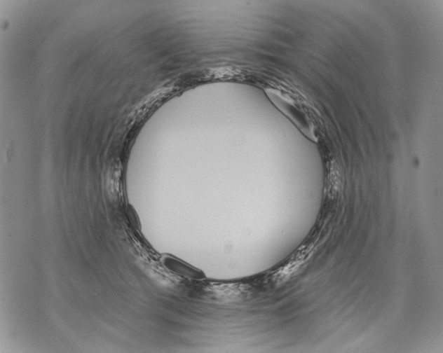 X0000071770417200607282218