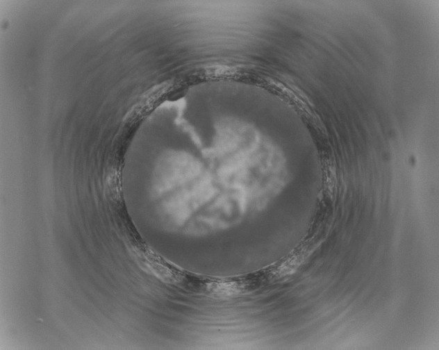 X0000071770419200607282218