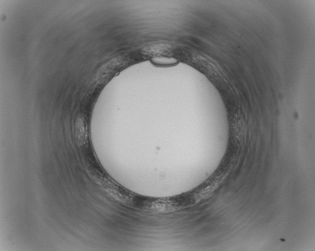 X0000071770420200607282218