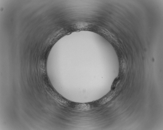 X0000071770421200607282218