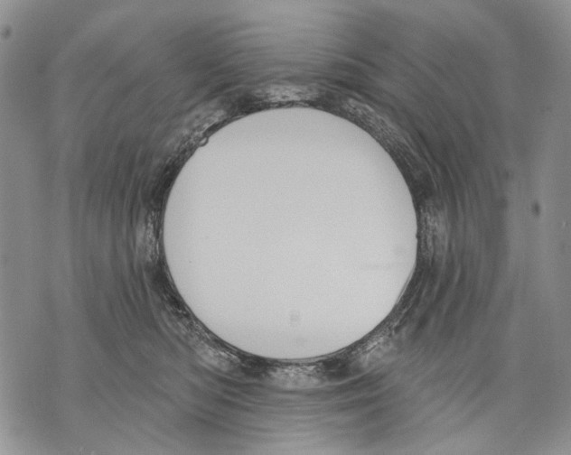 X0000071770422200607282218