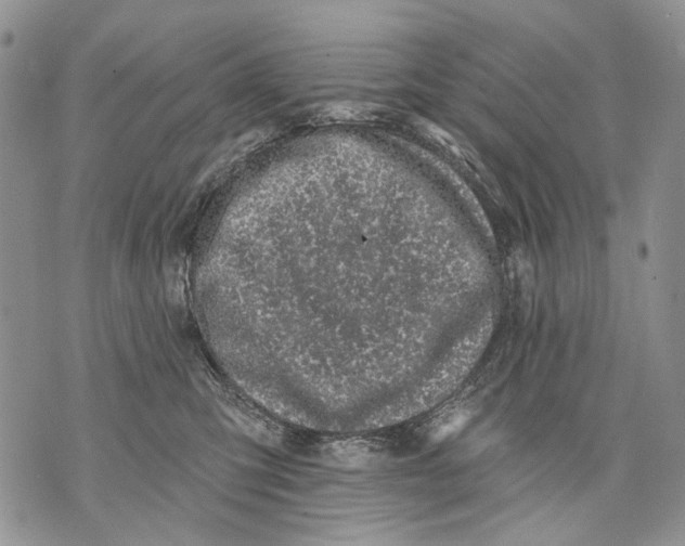 X0000071770423200607282218