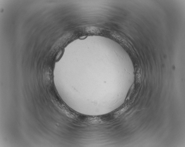 X0000071770424200607282218