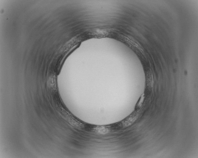 X0000071770425200607282218