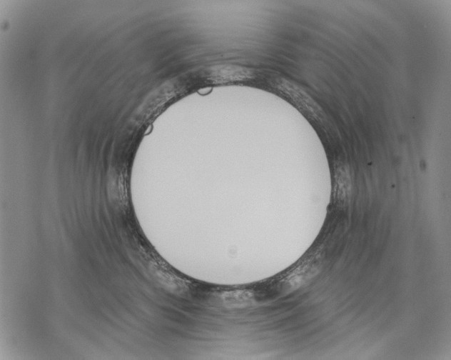 X0000071770426200607282218