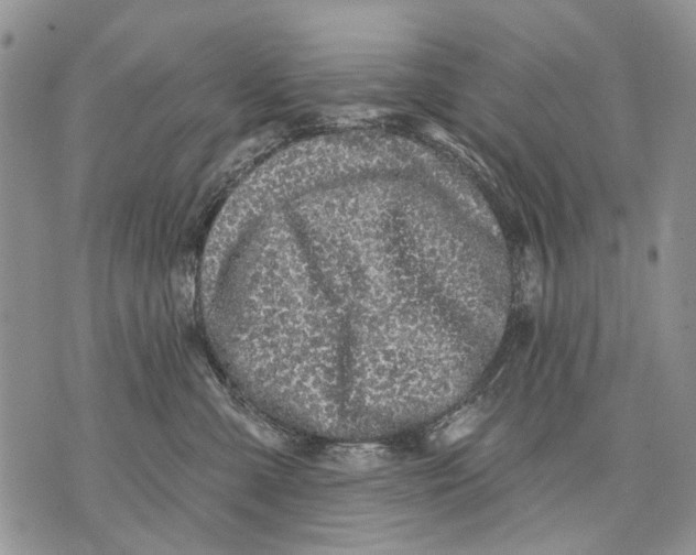 X0000071770427200607282218