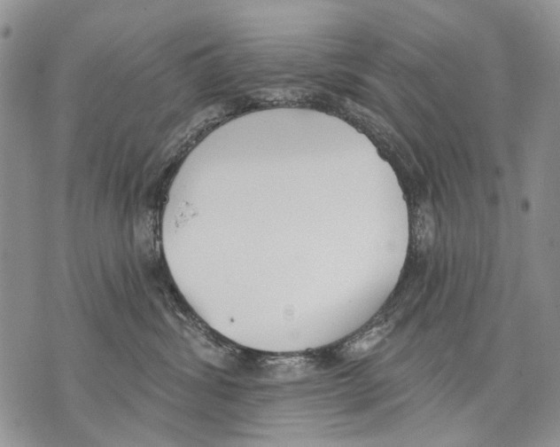 X0000071770428200607282218