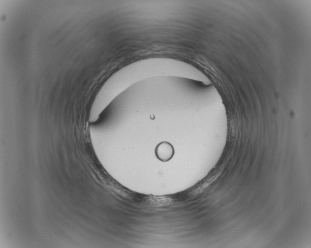 X0000071770429200607282218