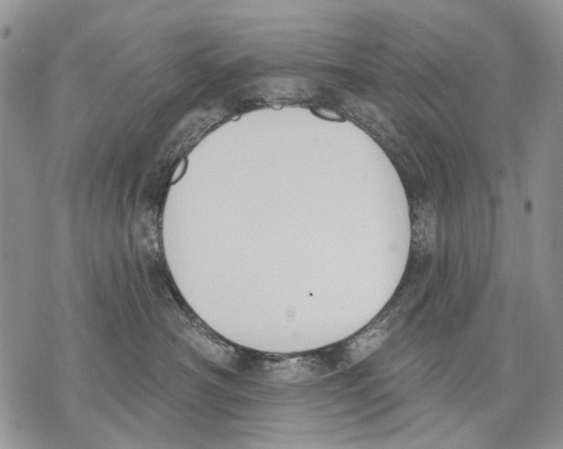 X0000071770430200607282218