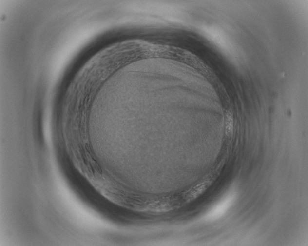 X0000071770431200607282218