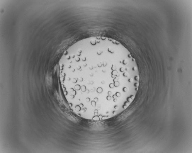 X0000071770432200607282218