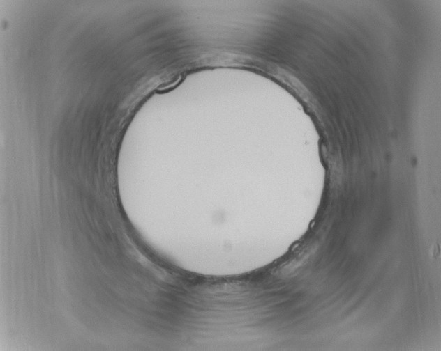 X0000071770433200607282217