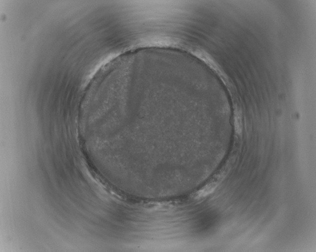 X0000071770434200607282217