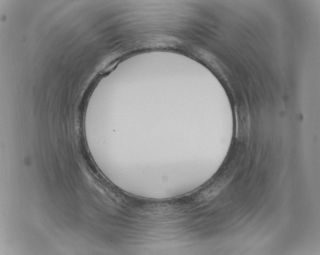 X0000071770435200607282217