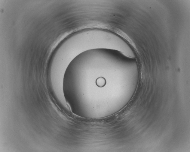 X0000071770436200607282217