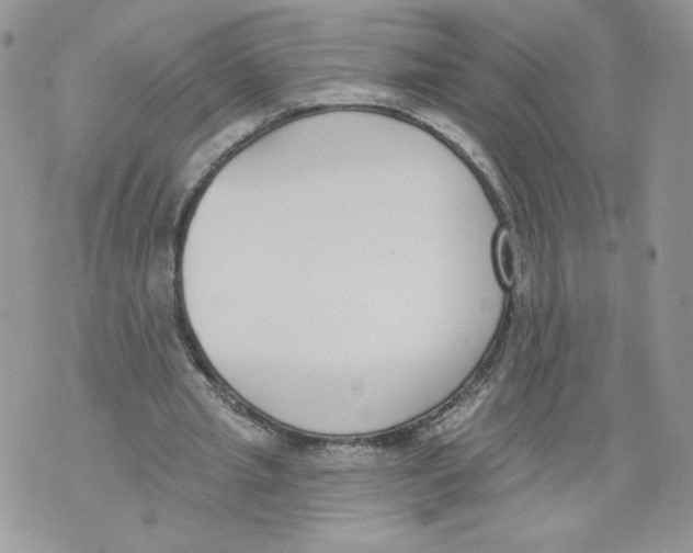 X0000071770437200607282217