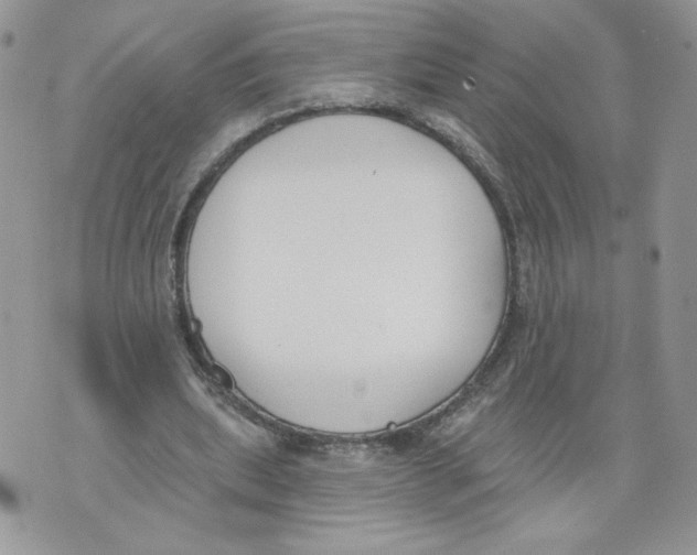 X0000071770439200607282217