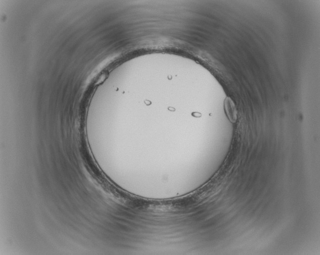 X0000071770440200607282217