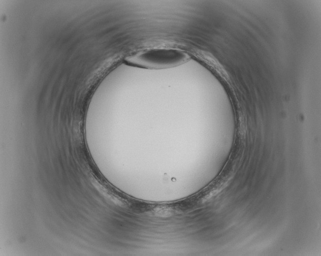 X0000071770441200607282217