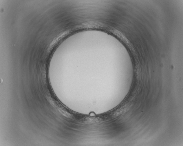 X0000071770442200607282217