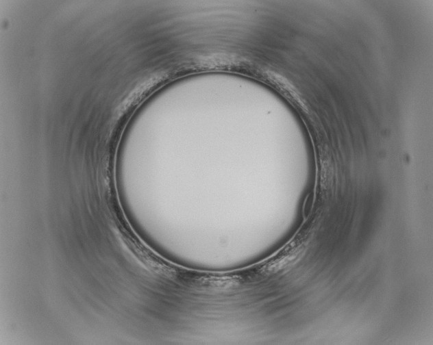 X0000071770443200607282217