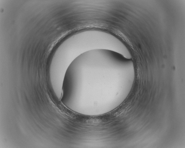 X0000071770444200607282217